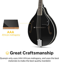 Drift Tone: A Style Mandolin Instrument Sunburst Beginner Adult Acoustic Mandolin Musical Instrument Mahogany 8 String, Bundle With Tuner String Bag Guitar Picks,DML-1