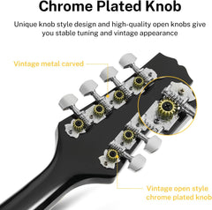 Drift Tone: A Style Mandolin Instrument Sunburst Beginner Adult Acoustic Mandolin Musical Instrument Mahogany 8 String, Bundle With Tuner String Bag Guitar Picks,DML-1